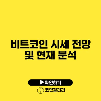 비트코인 시세 전망 및 현재 분석