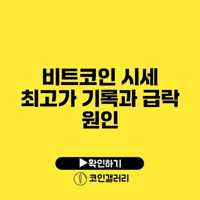 비트코인 시세 최고가 기록과 급락 원인