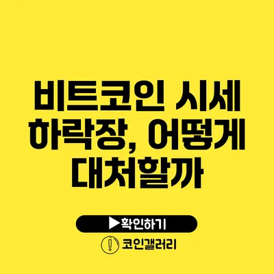 비트코인 시세 하락장, 어떻게 대처할까?
