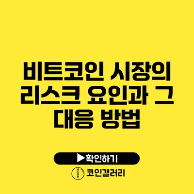 비트코인 시장의 리스크 요인과 그 대응 방법