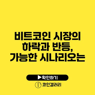 비트코인 시장의 하락과 반등, 가능한 시나리오는?
