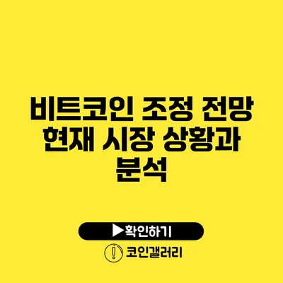 비트코인 조정 전망: 현재 시장 상황과 분석