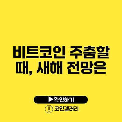 비트코인 주춤할 때, 새해 전망은?