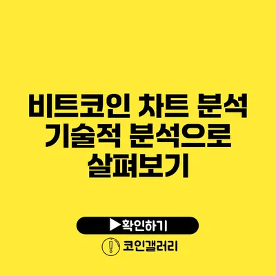 비트코인 차트 분석: 기술적 분석으로 살펴보기
