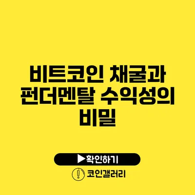 비트코인 채굴과 펀더멘탈: 수익성의 비밀
