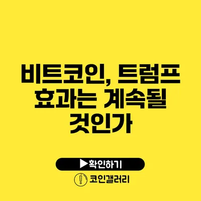 비트코인, 트럼프 효과는 계속될 것인가?