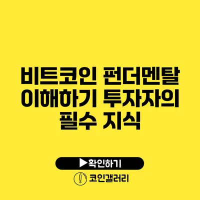 비트코인 펀더멘탈 이해하기: 투자자의 필수 지식