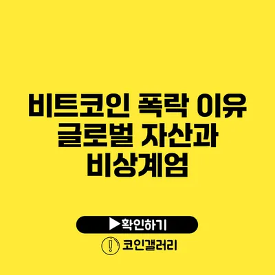 비트코인 폭락 이유: 글로벌 자산과 비상계엄