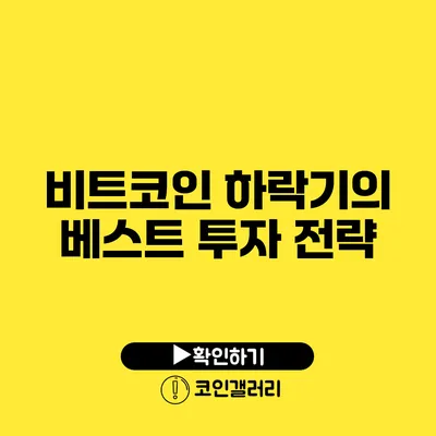 비트코인 하락기의 베스트 투자 전략