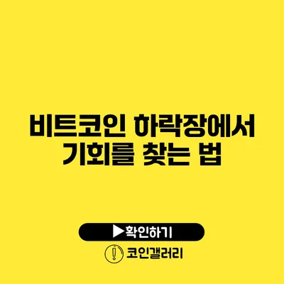 비트코인 하락장에서 기회를 찾는 법