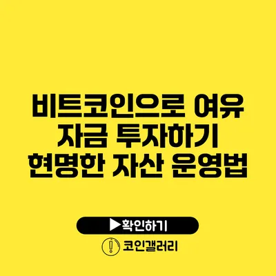 비트코인으로 여유 자금 투자하기: 현명한 자산 운영법
