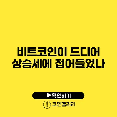 비트코인이 드디어 상승세에 접어들었나?