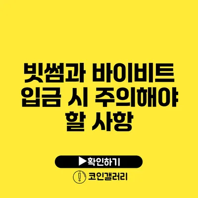 빗썸과 바이비트 입금 시 주의해야 할 사항