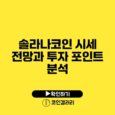 솔라나코인 시세 전망과 투자 포인트 분석