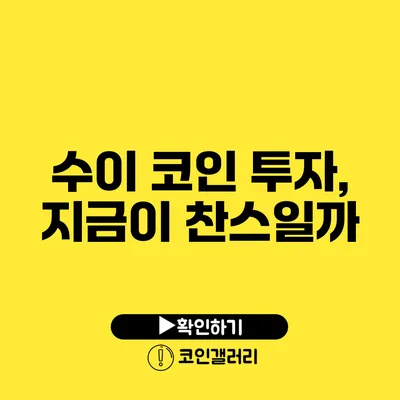 수이 코인 투자, 지금이 찬스일까?