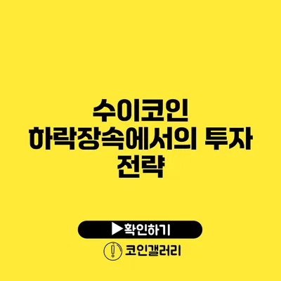 수이코인: 하락장속에서의 투자 전략