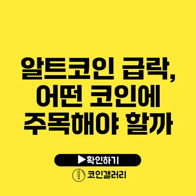 알트코인 급락, 어떤 코인에 주목해야 할까?