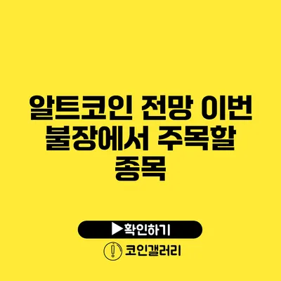 알트코인 전망: 이번 불장에서 주목할 종목