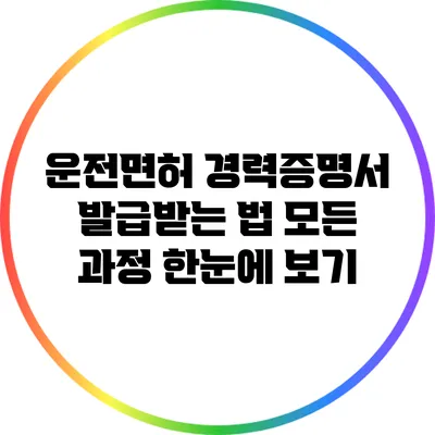 운전면허 경력증명서 발급받는 법: 모든 과정 한눈에 보기