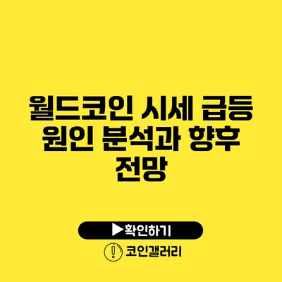 월드코인 시세 급등 원인 분석과 향후 전망