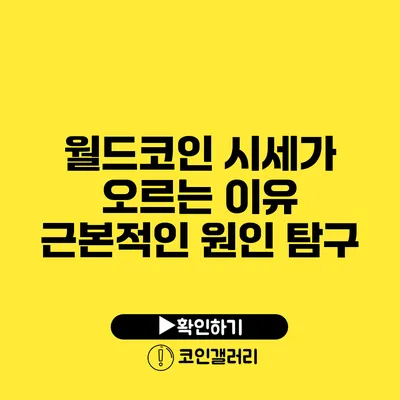 월드코인 시세가 오르는 이유: 근본적인 원인 탐구