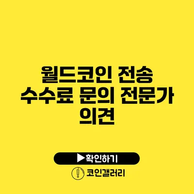 월드코인 전송 수수료 문의: 전문가 의견