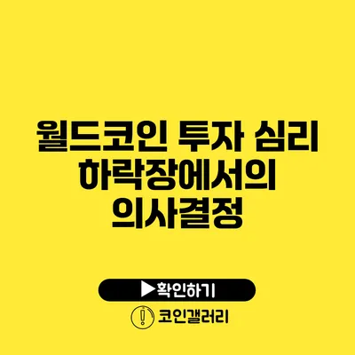 월드코인 투자 심리: 하락장에서의 의사결정