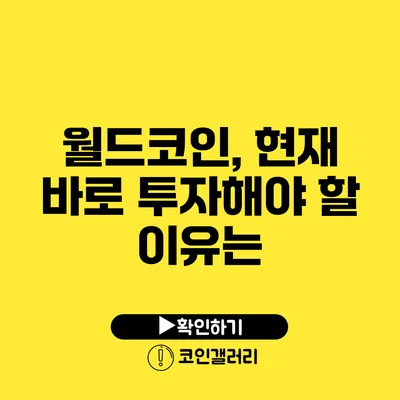 월드코인, 현재 바로 투자해야 할 이유는?