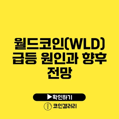 월드코인(WLD) 급등 원인과 향후 전망