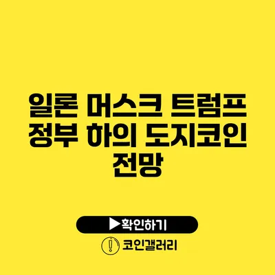 일론 머스크 트럼프 정부 하의 도지코인 전망