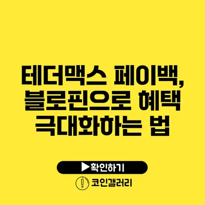 테더맥스 페이백, 블로핀으로 혜택 극대화하는 법