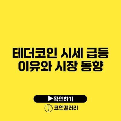 테더코인 시세 급등 이유와 시장 동향