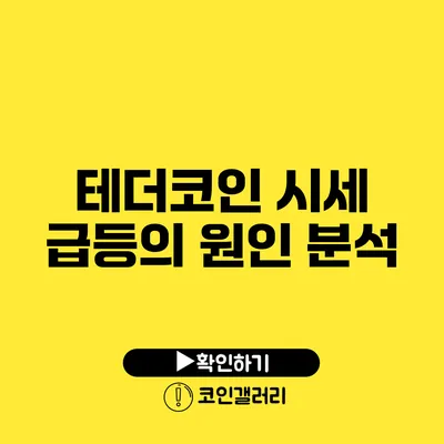테더코인 시세 급등의 원인 분석