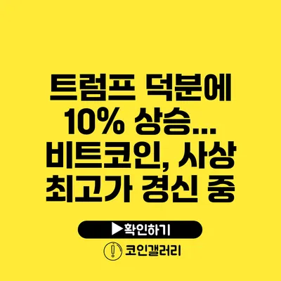 트럼프 덕분에 10% 상승... 비트코인, 사상 최고가 경신 중