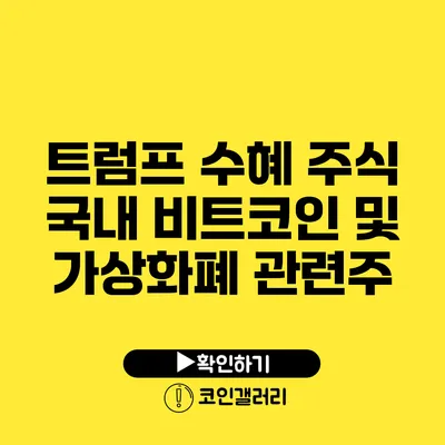 트럼프 수혜 주식: 국내 비트코인 및 가상화폐 관련주