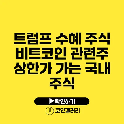 트럼프 수혜 주식: 비트코인 관련주 상한가 가는 국내 주식