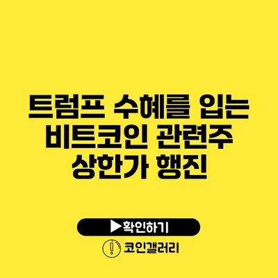 트럼프 수혜를 입는 비트코인 관련주 상한가 행진