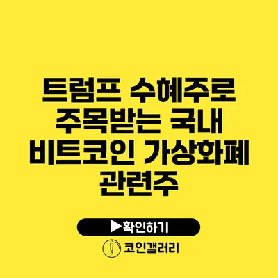 트럼프 수혜주로 주목받는 국내 비트코인 가상화폐 관련주