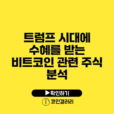 트럼프 시대에 수혜를 받는 비트코인 관련 주식 분석