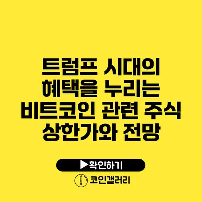 트럼프 시대의 혜택을 누리는 비트코인 관련 주식 상한가와 전망