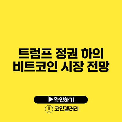 트럼프 정권 하의 비트코인 시장 전망