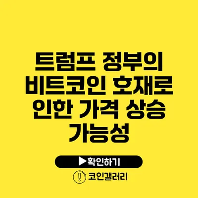 트럼프 정부의 비트코인 호재로 인한 가격 상승 가능성