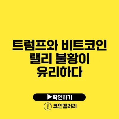 트럼프와 비트코인 랠리: 불황이 유리하다?