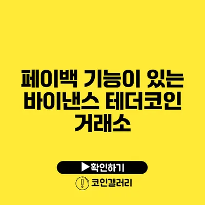 페이백 기능이 있는 바이낸스 테더코인 거래소