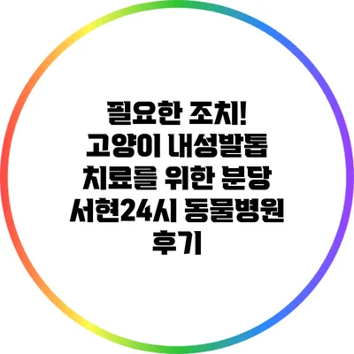 필요한 조치! 고양이 내성발톱 치료를 위한 분당 서현24시 동물병원 후기