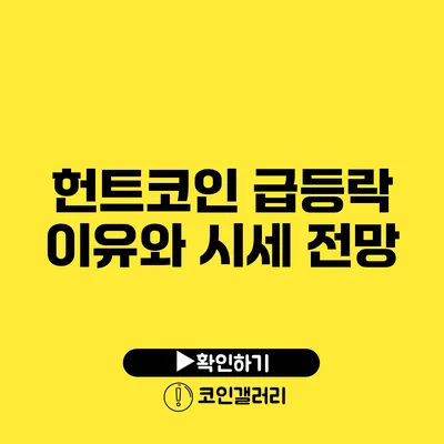 헌트코인 급등락: 이유와 시세 전망