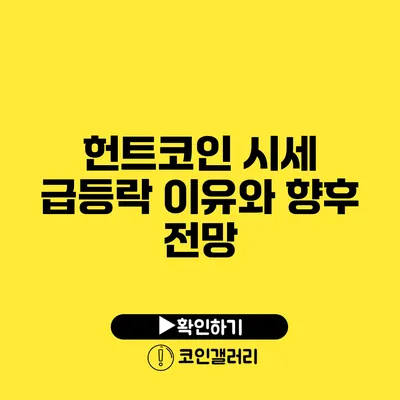 헌트코인 시세 급등락 이유와 향후 전망