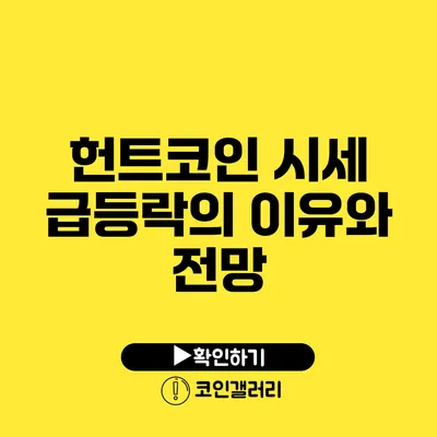 헌트코인 시세 급등락의 이유와 전망