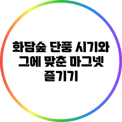 화담숲 단풍 시기와 그에 맞춘 마그넷 즐기기