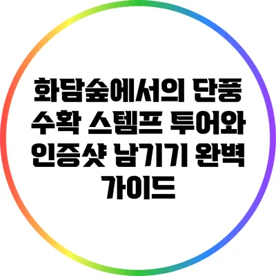 화담숲에서의 단풍 수확: 스템프 투어와 인증샷 남기기 완벽 가이드